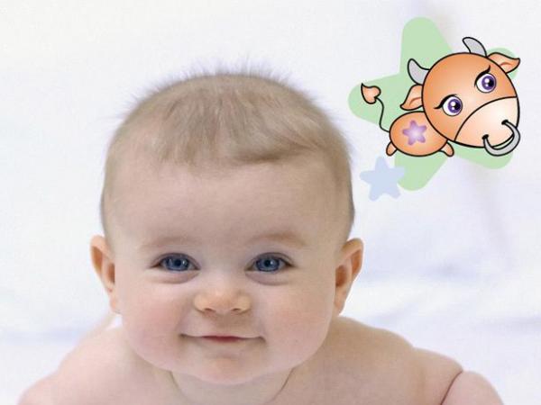 Общая характеристика ребенка тельца Телец ребенок мальчик для портфолио