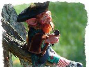 Leprechaun - irski čarobnjak koji ispunjava želje, pravi zeleni čovjek: fotografije, slike, video zapisi