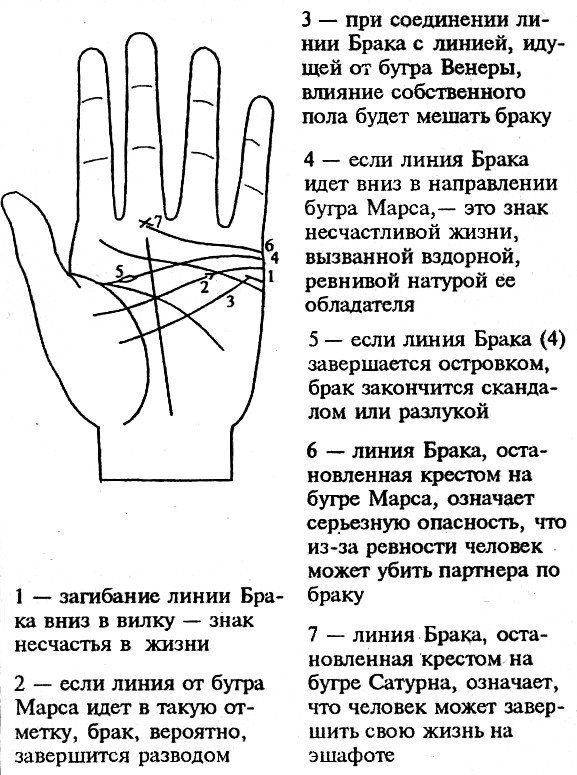 Линия жизни на ладони на какой руке у мужчин расшифровка по возрасту фото и описание