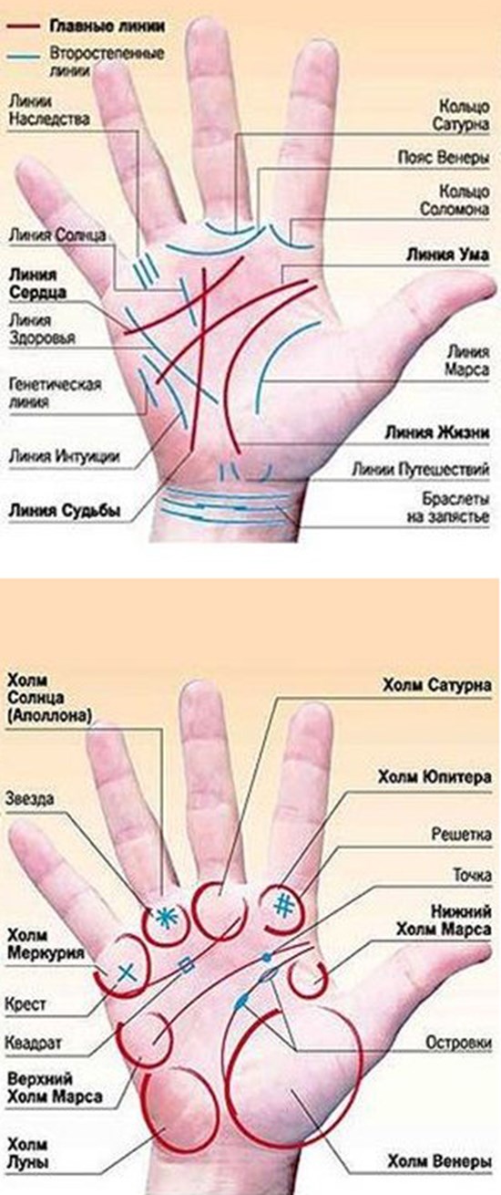 Линии на руке и их значение фото с расшифровкой